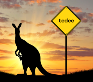 silhouette kangaroo with baby road sign sunset